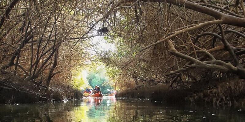جدد معلوماتك عن الخيران وأهميتها البيئية