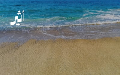 صدرت بشأنها “توجيهات سامية” و “فتوى قانونية” حسمت الجدل: من الجهة المختصة بتنفيذ حلول معالجة تآكل الشواطئ؟