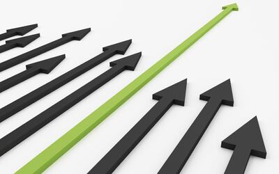 منذر السعيدي يكتب: صراعُ الكفاءة