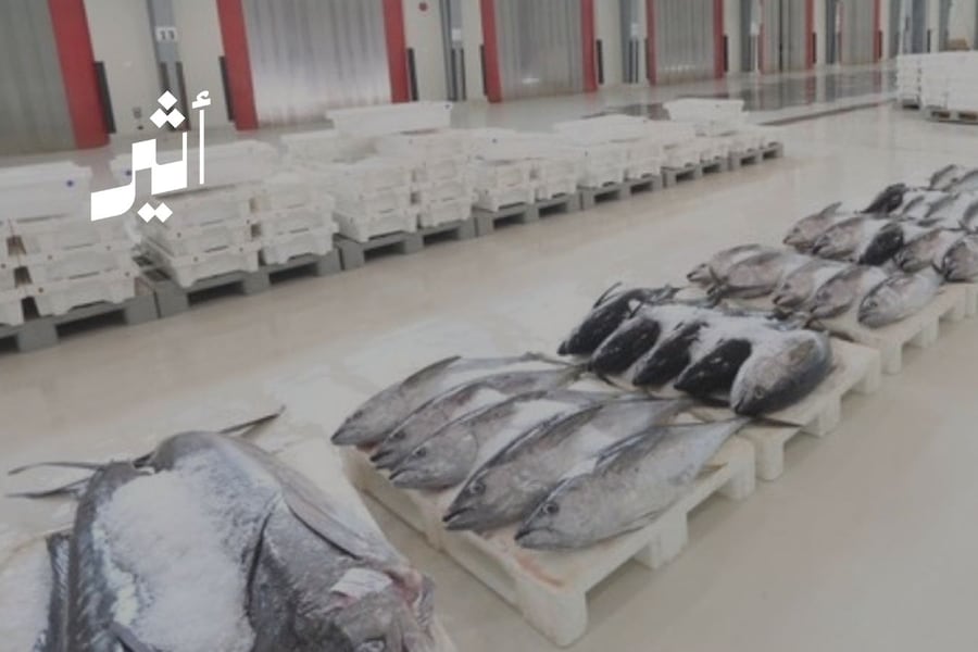 بعد خسائر تجاوزت 22 مليون ريال: هل ينقذ تغيير الشكل القانوني شركة الأسماك العمانية؟