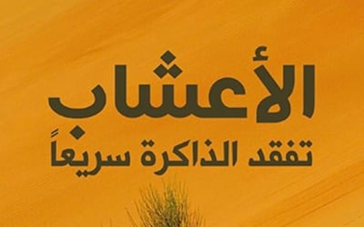 رشا الفوال تكتب: الذات الانفعالية بين الغربة والاغتراب في مجموعة محمد قراطاس الشعرية